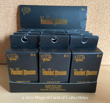 Load image into Gallery viewer, Loungefly Funko Pop! Pin Disney Haunted Mansion Blind Box Pins (Blind Box Single)