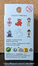 Load image into Gallery viewer, Loungefly Disney100 Anniversary Character Mystery Box Pins (Blind Box Single)