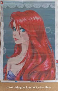Diamond Art Cartoon Ariel