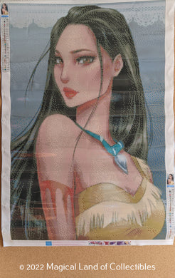 Diamond Art Cartoon Pocahontas